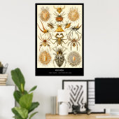 Poster Arachnida - Plaque 58 - Kunstformen der Natur (Bureau à domicile)