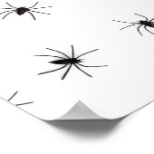 Poster Arachnophobie (araignées) (insectes crus Déplaisan (Coin)