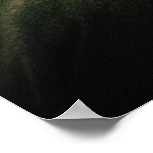 Poster Aragorn Gros plan (Coin)