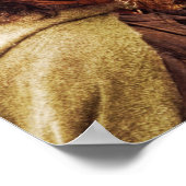 Poster Aragorn Plus Line of Horses (Coin)