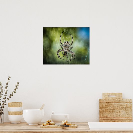 Poster Araignée (Cuisine)