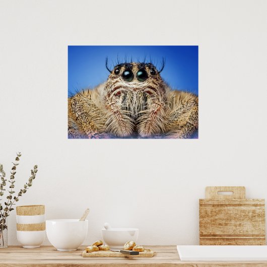 Poster Araignée (Cuisine)