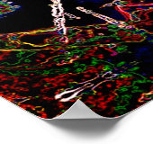 Poster Araignée (Coin)