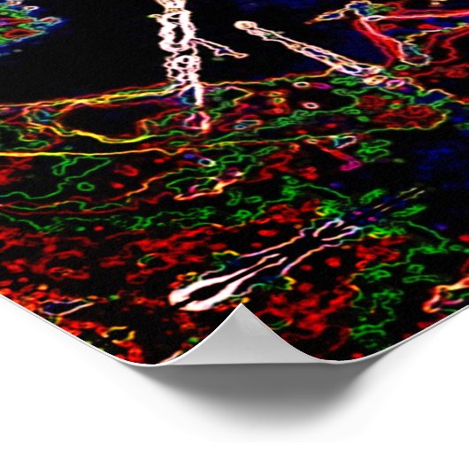 Poster Araignée (Coin)