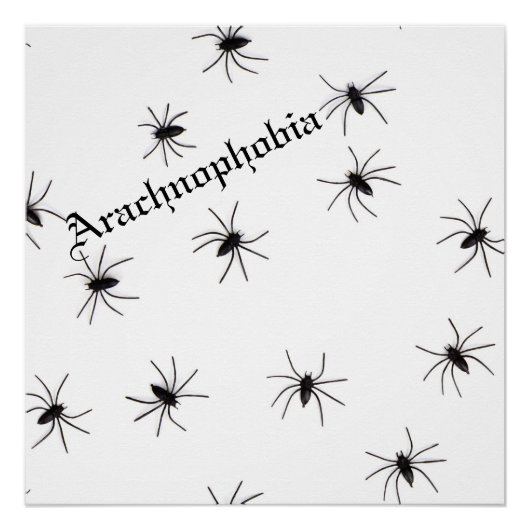 Poster Araignée (Devant)