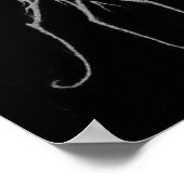 Poster araignée (Coin)