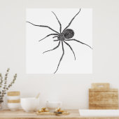 Poster Araignée à longues pattes (Cuisine)