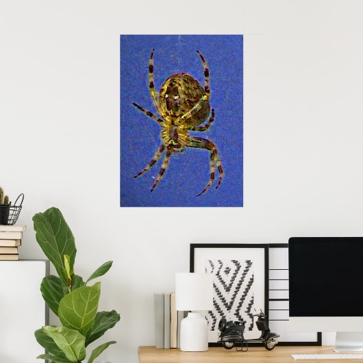 Poster Araignée à orbite colorée (Bureau à domicile)