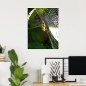 Poster Araignée dangereuse (Bureau à domicile)