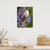 Poster Araignée de crabe mangeant fêtes de feuille d'abei (Cuisine)