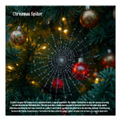 Poster Araignée de Noël (Devant)