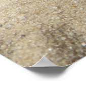 Poster Araignée de Tarantula du Flameknee mexicain (Coin)