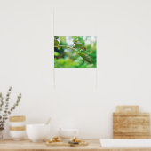 Poster Araignée de verger à orbite - Leucauge venusta (Cuisine)