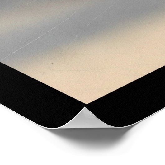 Poster Araignée d'écriture (Argiope Aurantia) (Coin)