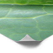 Poster Araignée gardant la prochaine génération Imprimer (Coin)