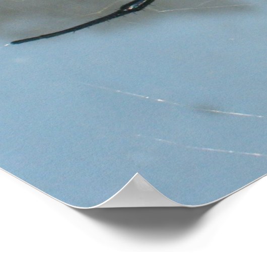 Poster Araignée, Jardin Commun (Coin)