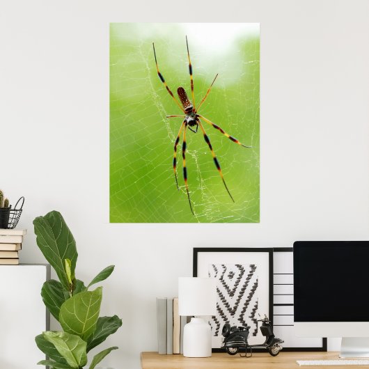 Poster Araignée jaune et noire (Arrière - plan vert) (Bureau à domicile)