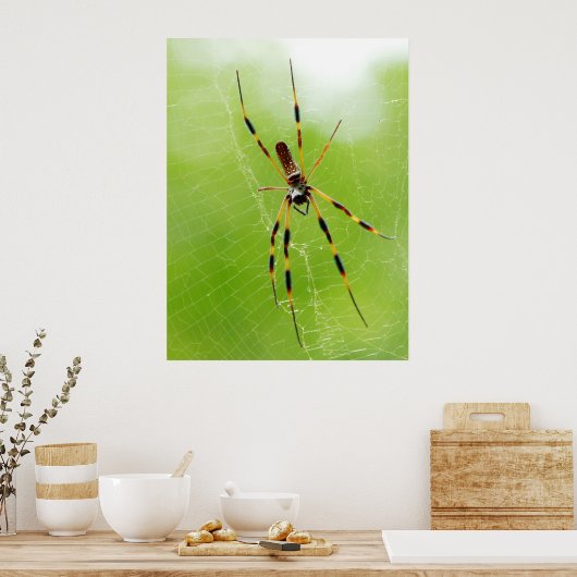 Poster Araignée jaune et noire (Arrière - plan vert) (Cuisine)