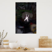 Poster Araignée n Web 2 (Cuisine)