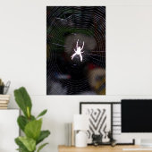 Poster Araignée n Web 2 (Bureau à domicile)