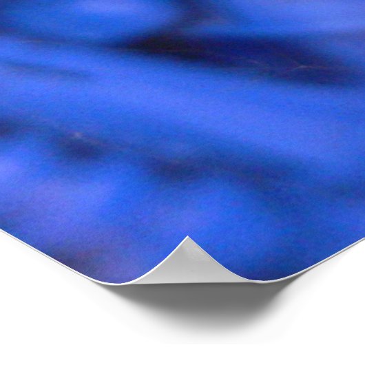 Poster Araignée noire (Coin)