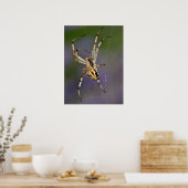 Poster Araignée sur sa toile (Cuisine)