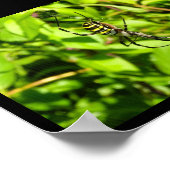 Poster Araignée waspe dans le vert (Coin)