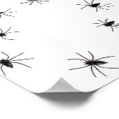 Poster Araignées (Coin)