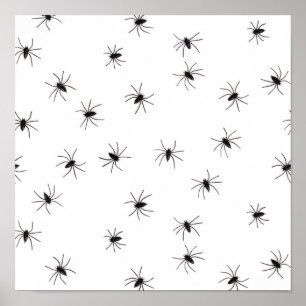 Poster Araignées