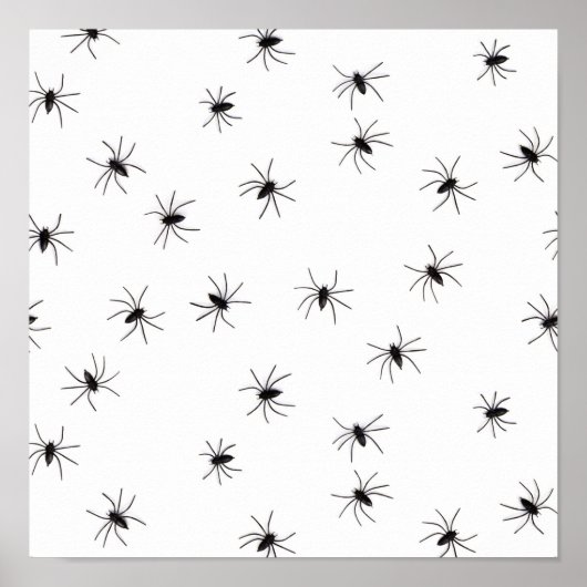 Poster Araignées (Devant)