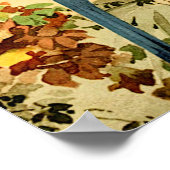 Poster Aráras, Emil August Göldi (1900-1906) (Coin)