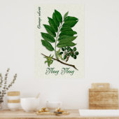 Poster Araromathérapie botanique illustration de Ylang Yl (Cuisine)