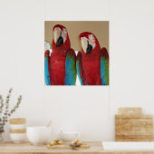 Poster Aras rouges, bleus et verts (perroquets) (Cuisine)