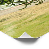 Poster Araucaria du Chili. (Coin)