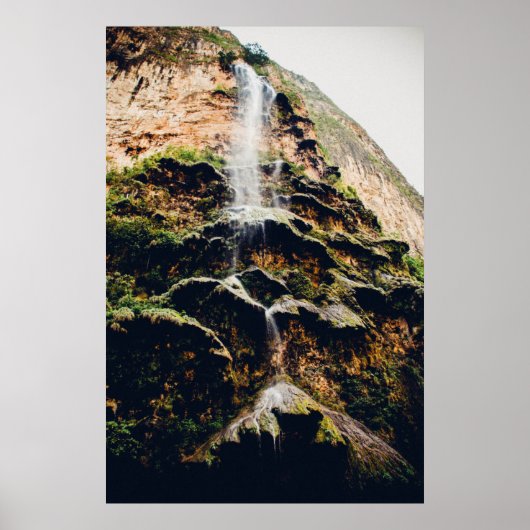 Poster Arbol De Navidad Dans Le Canyon De Sumidero (Devant)