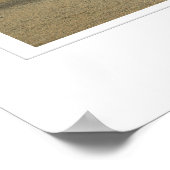 Poster Arbol de Piedra (Arbre Rocheux) Imprimer (Coin)