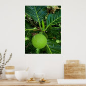 Poster Arborescence (Cuisine)