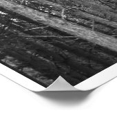 Poster Arborescence (Coin)