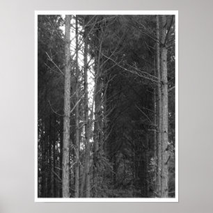 Poster Arborescence
