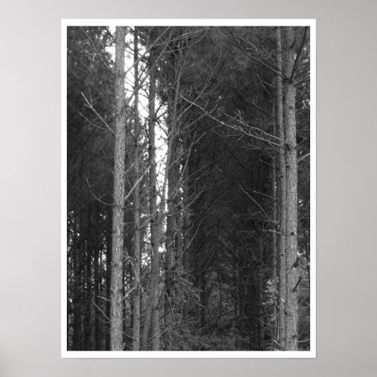 Poster Arborescence (Devant)