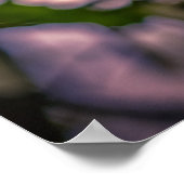 Poster Arborescence de mouchoirs (Coin)