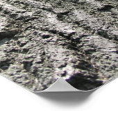 Poster Arborescence de rêve (Coin)