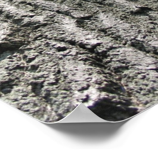 Poster Arborescence de rêve (Coin)