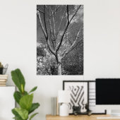 Poster Arborescence Sun Worship (Bureau à domicile)