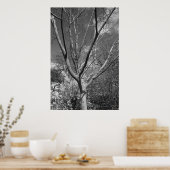 Poster Arborescence Sun Worship (Cuisine)