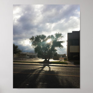 Poster Arborescence urbaine