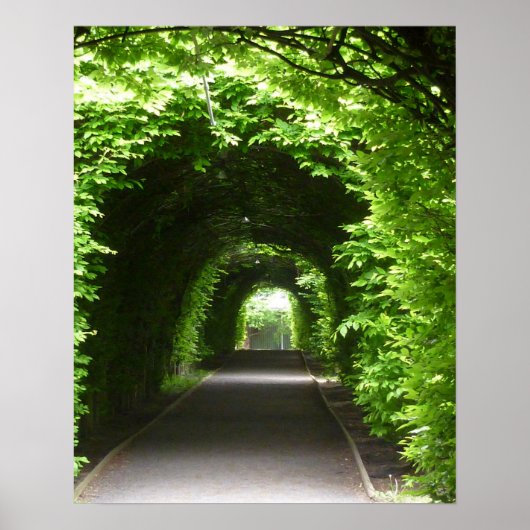 Poster Arbour de jardin botanique ombragé (Devant)