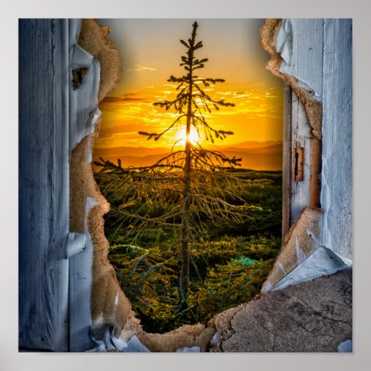 Poster Arbre (Devant)