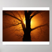 Poster Arbre (Devant)