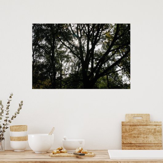 Poster Arbre (Cuisine)